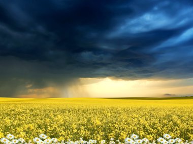 Exquisite landscape with stormy skies clipart