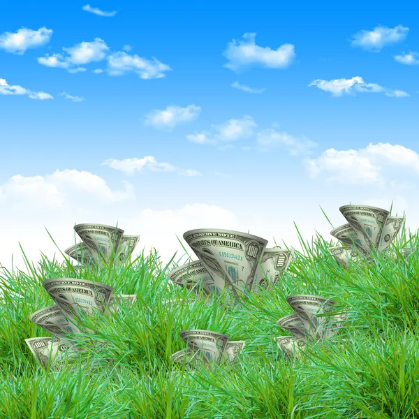 Vegetation of dollar bills — Stock Photo, Image