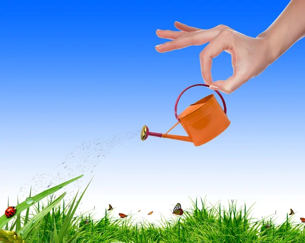 Hand Small Watering Can Watering Green Grass — Stock Photo, Image
