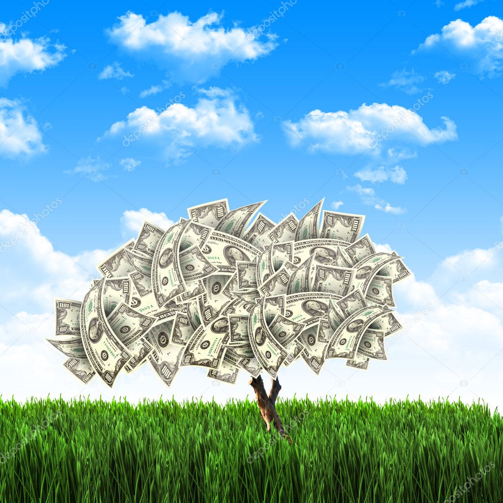 Tree of dollar bills on the green grass against the blue sky. Concept.