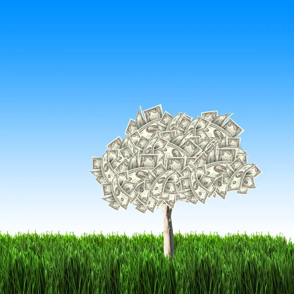 Strom Dolarové Bankovky Zelené Trávě Proti Modré Obloze Koncepce — Stock fotografie
