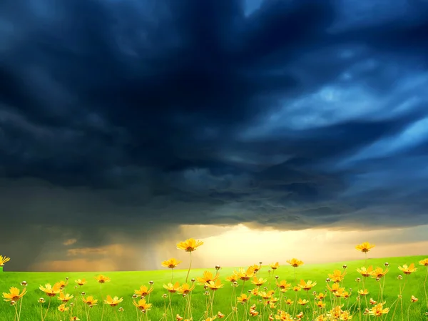 Exquisite Landschaft Mit Stürmischem Himmel Und Grünem Gras — Stockfoto