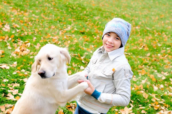 Chłopiec Bawi Się Jesieni Park Złoty Pies Myśliwski — Zdjęcie stockowe