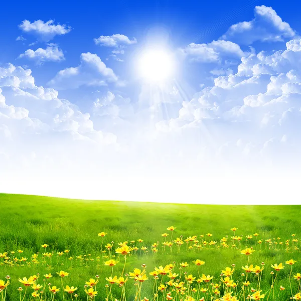 Вишуканий Краєвид Блакитним Небом Сонячним Світлом Зеленою Травою — стокове фото