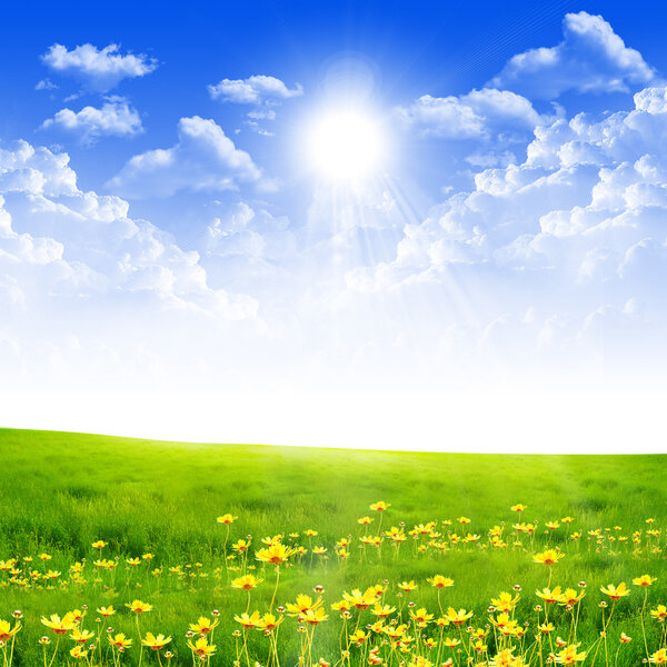 Изысканный пейзаж с голубым небом, солнцем и зеленой травой
