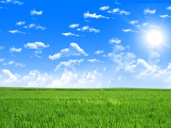 Enfes Manzara Mavi Gök Güneş Yeşil Çimen — Stok fotoğraf