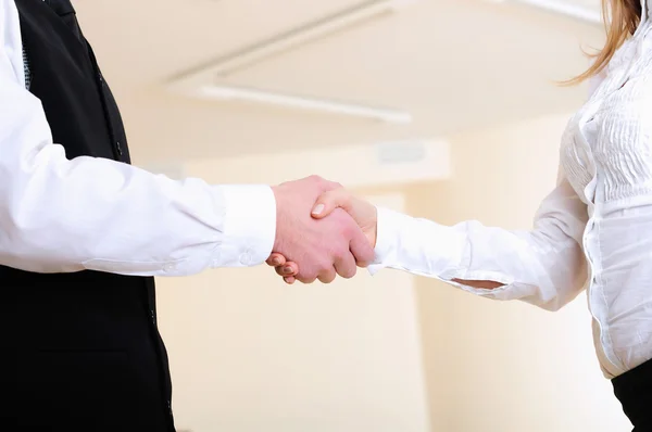 Young Girl Shakes Hands His Colleague Office — Stock Photo, Image