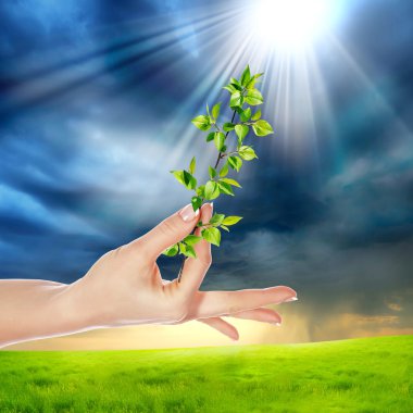 Hands holding a plant clipart