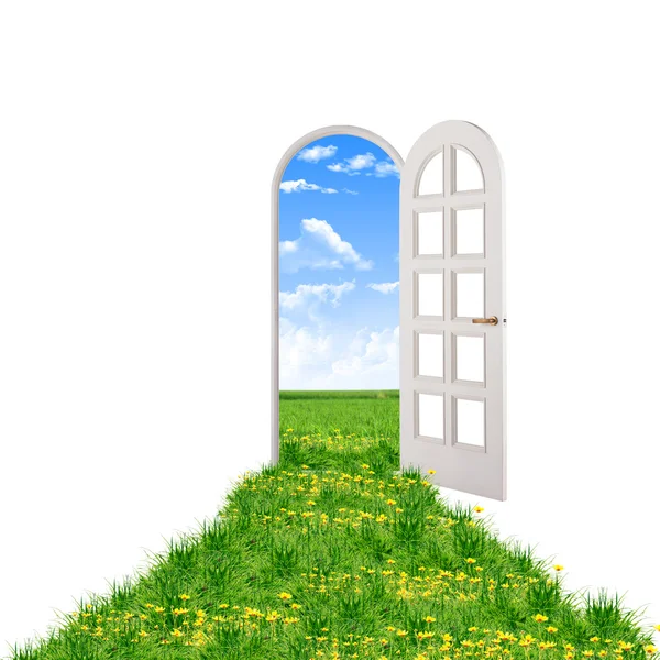 Otwarte Drzwi Prowadzące Pięknej Przyrody Czyste Zieloną Trawą Błękitne Niebo — Zdjęcie stockowe