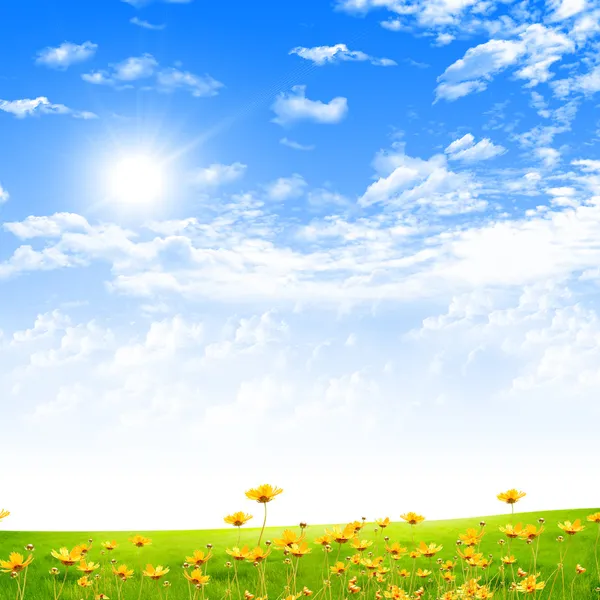Вишуканий Краєвид Блакитним Небом Сонячним Світлом Зеленою Травою — стокове фото