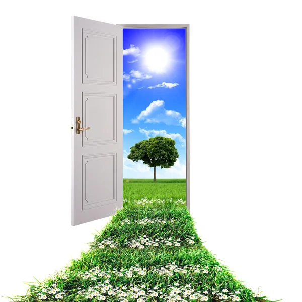 Otwarte Drzwi Prowadzące Pięknej Przyrody Czyste Zieloną Trawą Błękitne Niebo — Zdjęcie stockowe