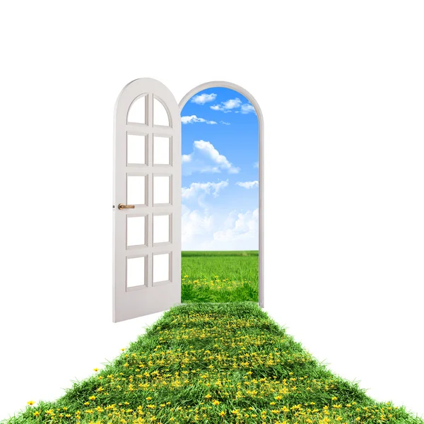 Відкриті Двері Ведуть Красивої Чистої Природи Зеленою Травою Блакитним Небом — стокове фото