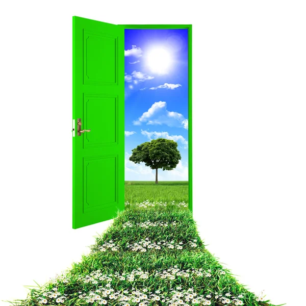 Открытая Дверь Ведущая Красивой Чистой Природе Зеленой Травой Синим Небом — стоковое фото