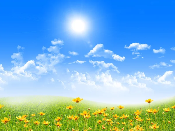Изысканный Пейзаж Голубым Небом Солнцем Зеленой Травой — стоковое фото
