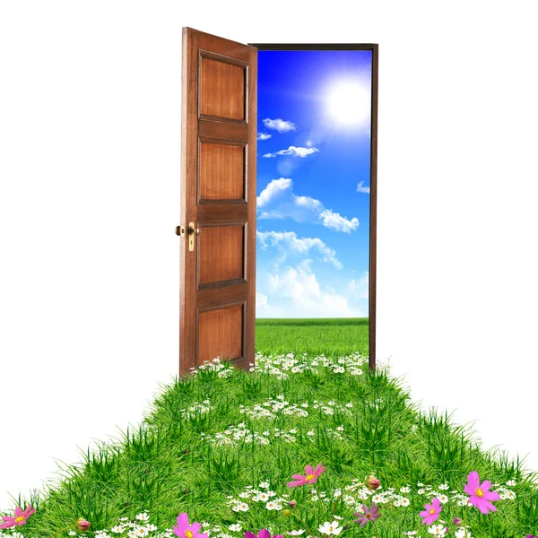打开的门导致美丽干净的自然与绿草和蓝蓝的天空 — 图库照片