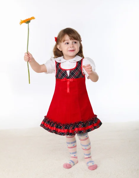 꽃을 든 어린 소녀 — 스톡 사진