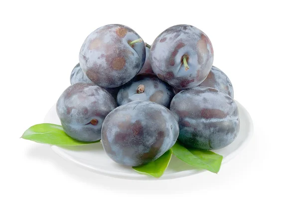 Plums on a white background — Stock Photo, Image