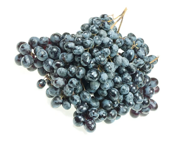 Mazzo di uva scura su fondo bianco — Foto Stock
