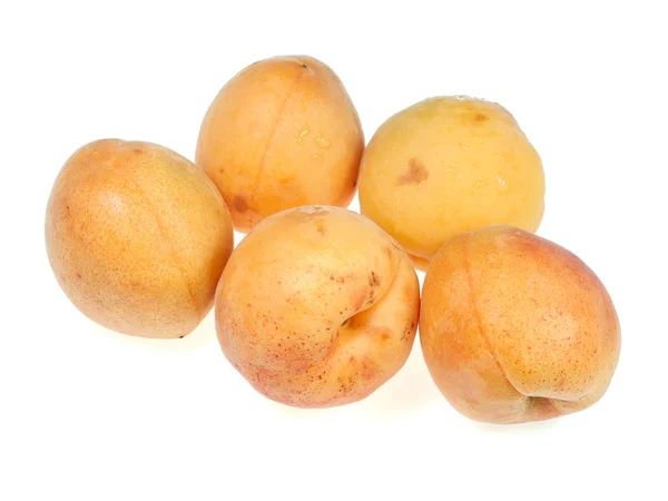 Fünf Aprikosen auf weißem Hintergrund — Stockfoto