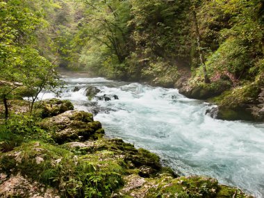 Dağ nehri.