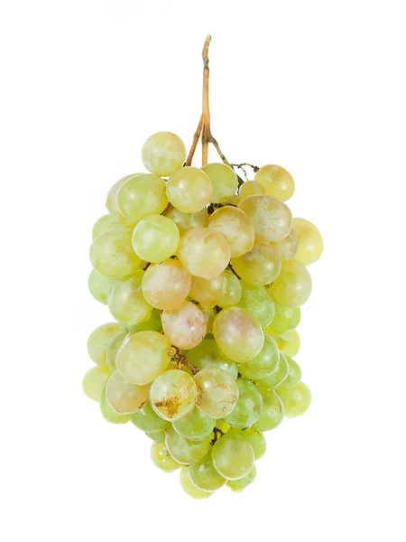 Grappolo d'uva matura — Foto Stock