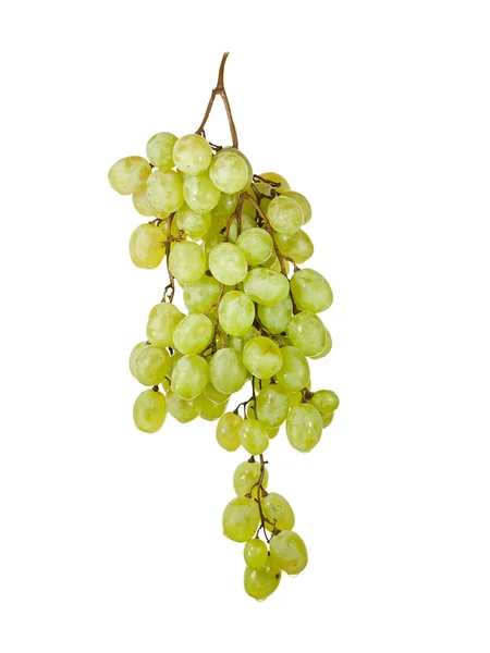 Куча спелого винограда — стоковое фото