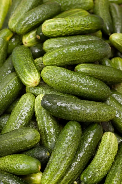 stock image Green cucumbers background