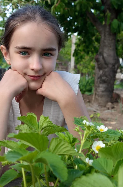 Dziewczyna i truskawka krzak w ogrodzie — Zdjęcie stockowe