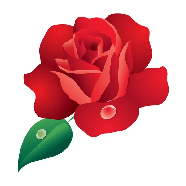 Rosa roja. — Vector de stock