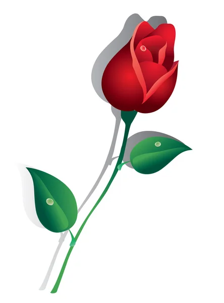 Red Rose. — Stock Vector