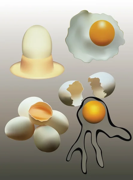 Яйца. — стоковый вектор