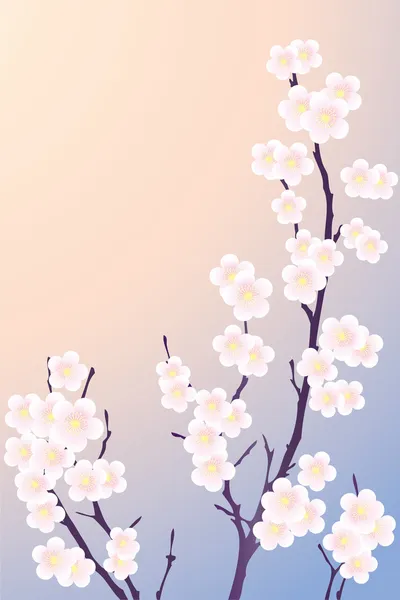 La branche d'un arbre à fleurs . — Image vectorielle