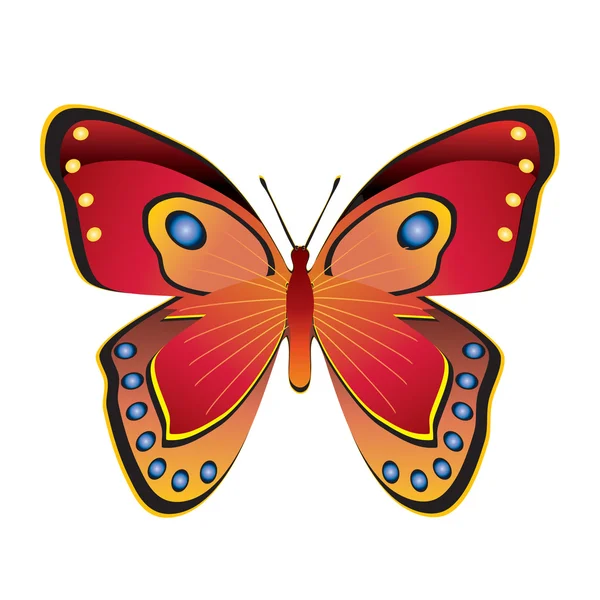 Mariposa.. — Archivo Imágenes Vectoriales