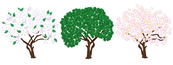 Tři strom. — Stockový vektor