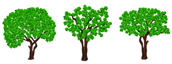 Зеленые деревья. — стоковый вектор