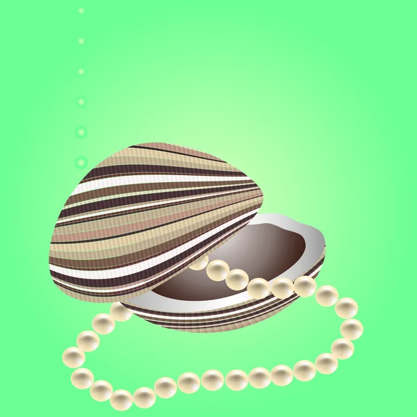 海边的贝壳和珍珠. — 图库矢量图片