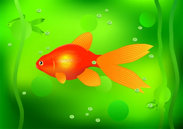 Pesce rosso . — Vettoriale Stock