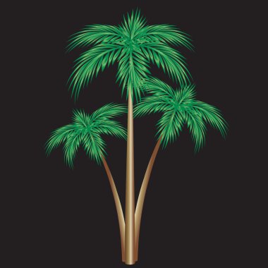 Üç Palmiye Ağaçları.