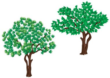 Trees. clipart