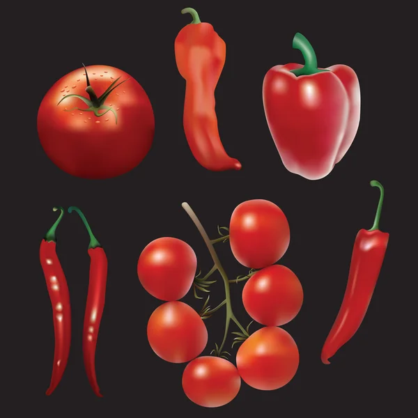 Paprika und Tomaten. — Stockvektor