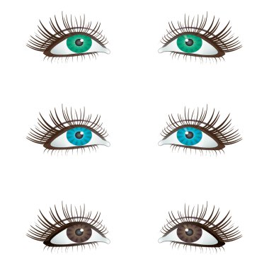 Eyes. clipart