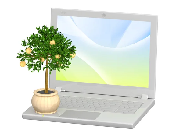 Árvore monetária e laptop — Fotografia de Stock