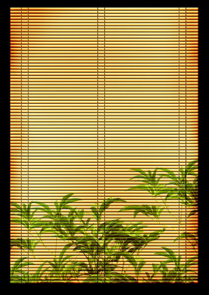 Antico tappeto di canna giapponese — Foto Stock