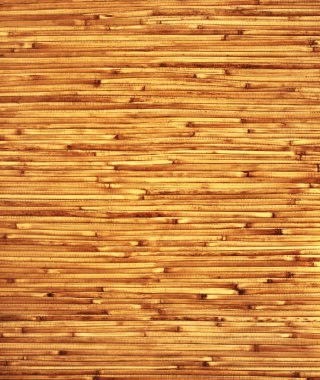 Bamboo mat clipart