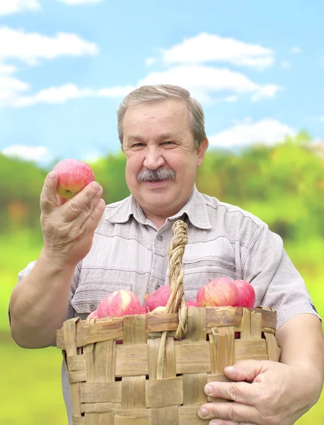 stock image Harvesting a apple