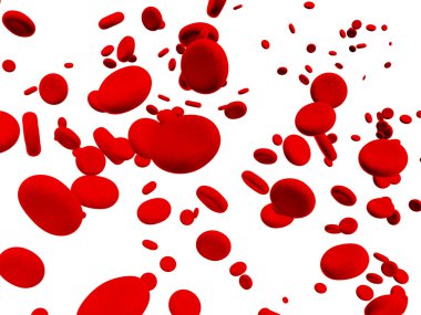 Erythrocytes clipart