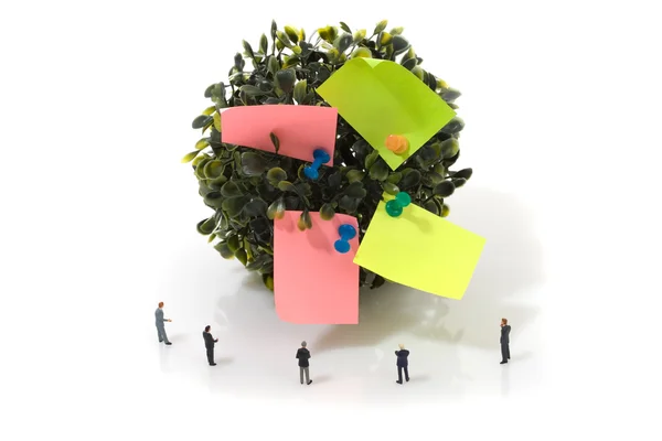 Empresarios, árbol y bloc de notas — Foto de Stock