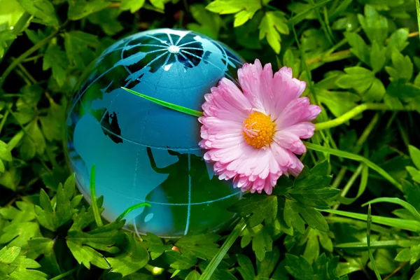 Глобус на зеленій траві — стокове фото