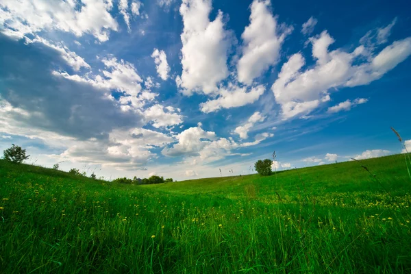 雲と緑のフィールドと空 — ストック写真