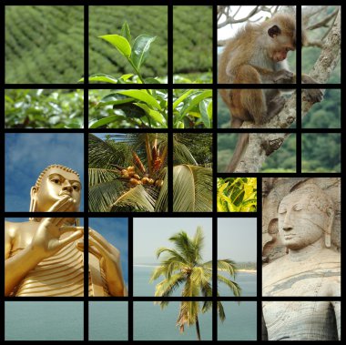 Sri lanka collage with travel photos clipart